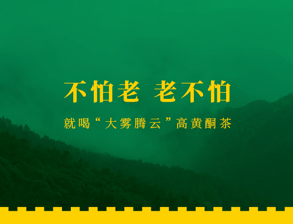 大霧騰云高黃酮茶品牌網(wǎng)站設(shè)計建設(shè)案例