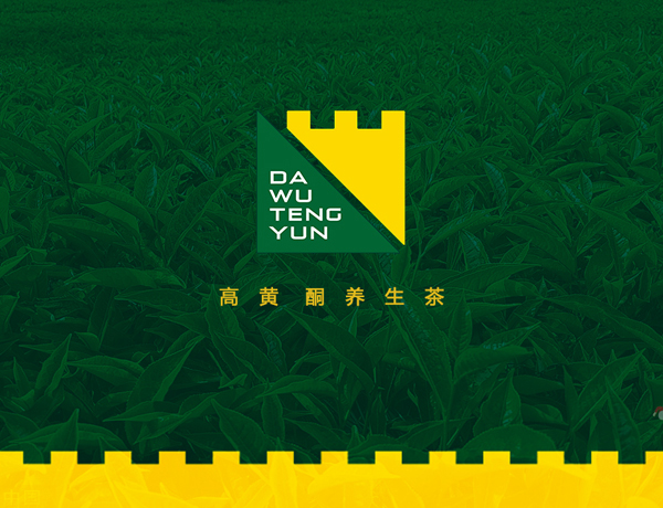 大霧騰云高黃酮養(yǎng)生茶品牌策劃