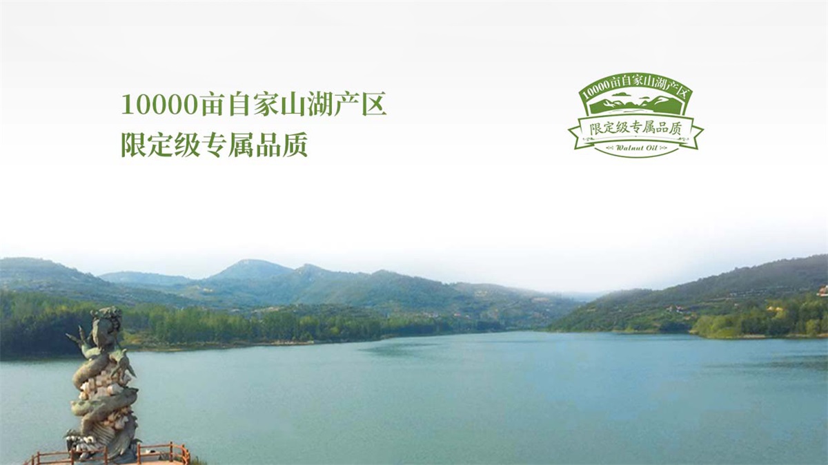 初典核桃油品牌設(shè)計案例
