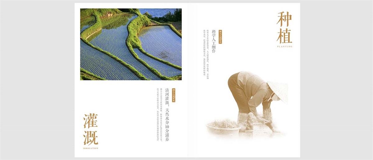 潮夫人·大米品牌設(shè)計(jì)案例
