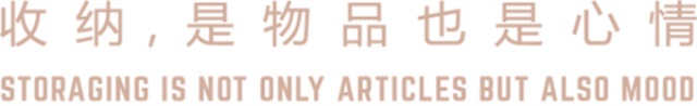 卓木鳥(niǎo)收納營(yíng)銷(xiāo)策劃案例