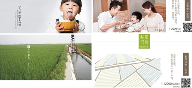 潮夫人·大米品牌營銷策劃案例