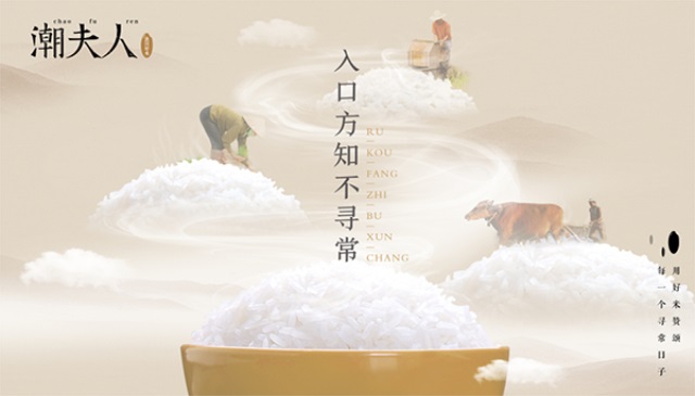 潮夫人·大米品牌營銷策劃案例