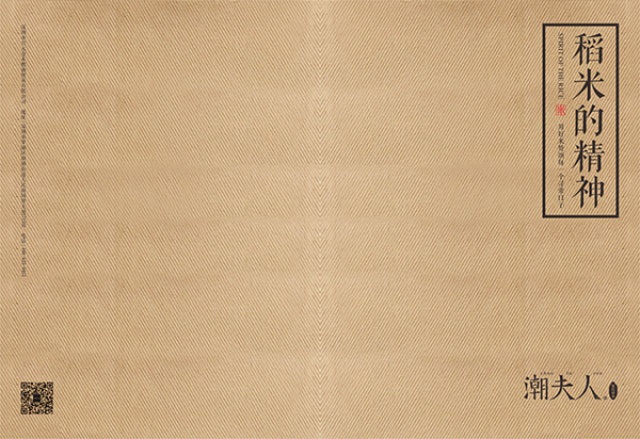 潮夫人·大米品牌營銷策劃案例