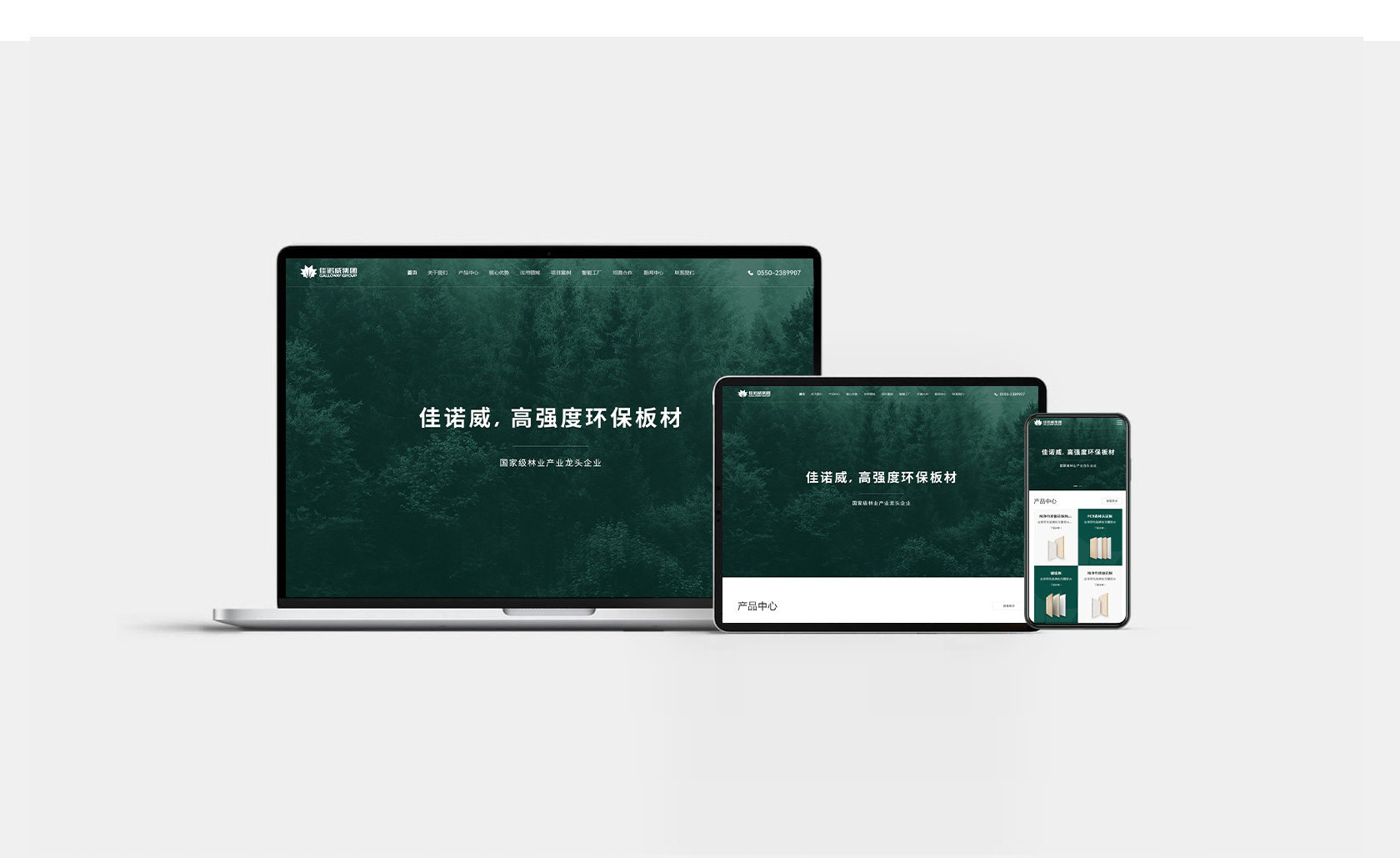 佳諾威環(huán)保板材網(wǎng)站設(shè)計(jì)